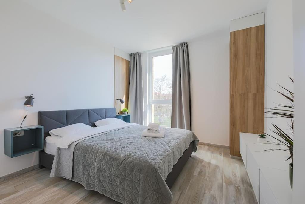 Luxury Apt. Near River & Parking Timisoara Exterior foto